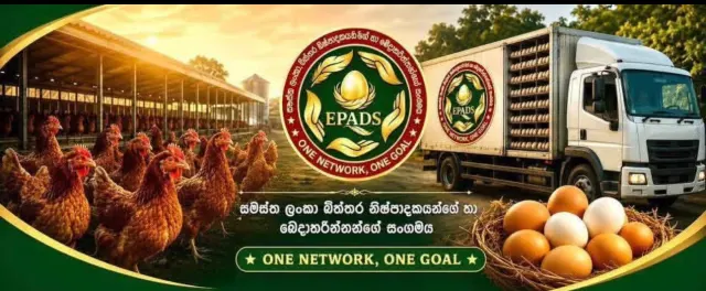 EPADS banner showing poultry farming, egg distribution and fresh eggs